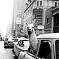 A Llama in Times Square
