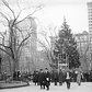 104 years ago, the nation’s first public Christmas tree went up in Madison Square Park