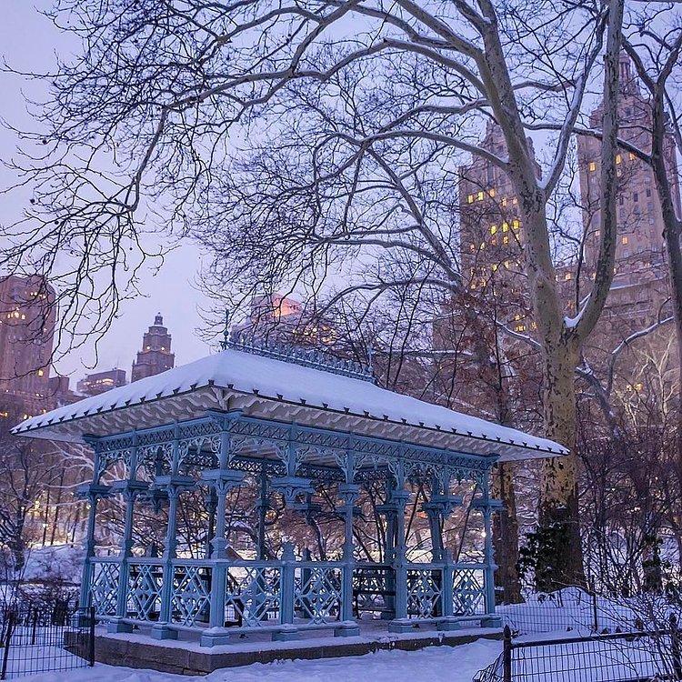 Photo via @dario.nyc 
Central Park

#viewingnyc