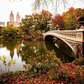 Bow Bridge, Central Park, Manhattan
