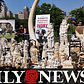 Millions of dollars worth of ivory crushed in NYC
