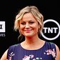 Amy Poehler