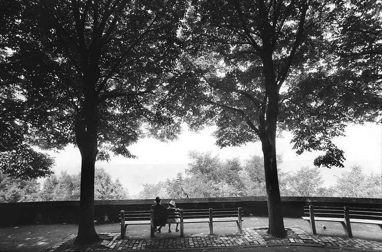 July 20, 1991: A tranquil summer scene in Fort Tryon Park in an apparently unpublished photo, showing "older folks" enjoying some shade.