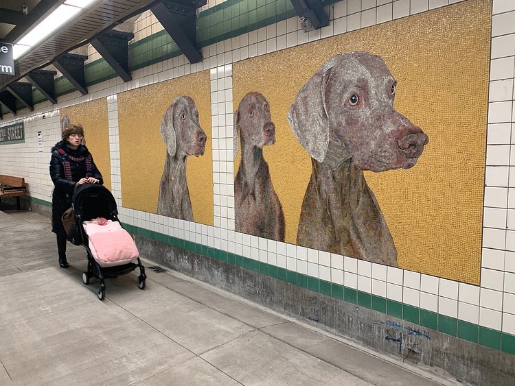 The Newly Reopened 23rd Street F/M Station Has Already Gone To The Dogs