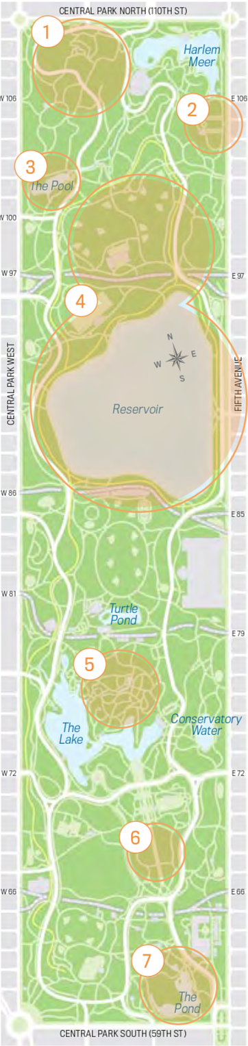 Central Park Fall Foliage Map