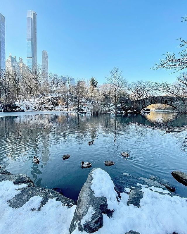The Pond at Central Park, Manhattan