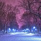 Central Park is beautiful &amp; peaceful in the night snow. #NYC #winter http://t.co/4ieUQEY5RT