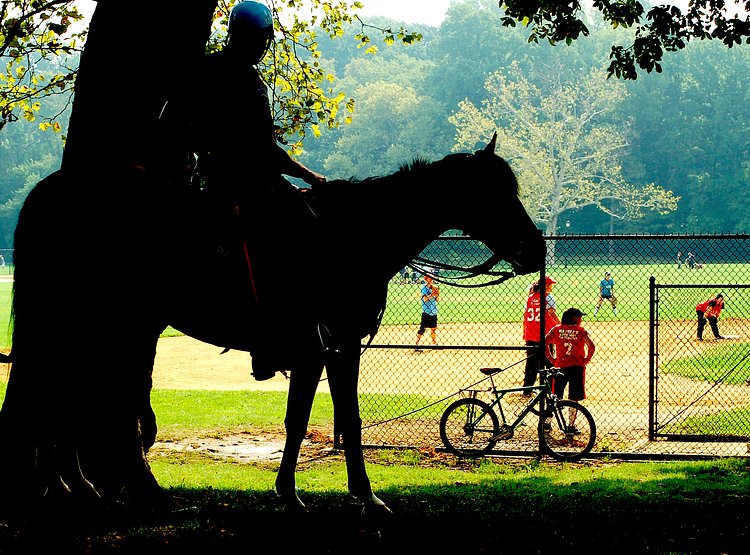 Horseback Riding in Prospect Park