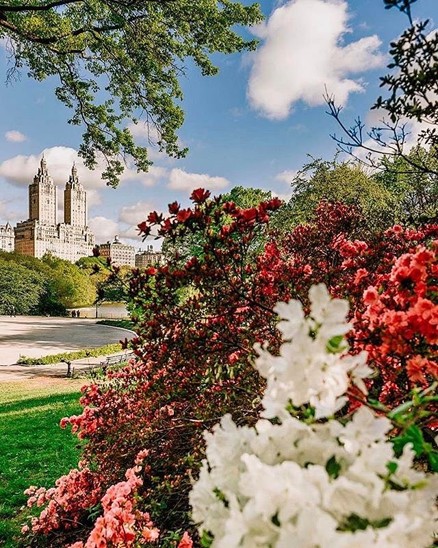 Photo via @mc_gutty 
#viewingnyc