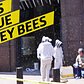 Capturing Sudden Swarms of NYC Bees To Make Honey