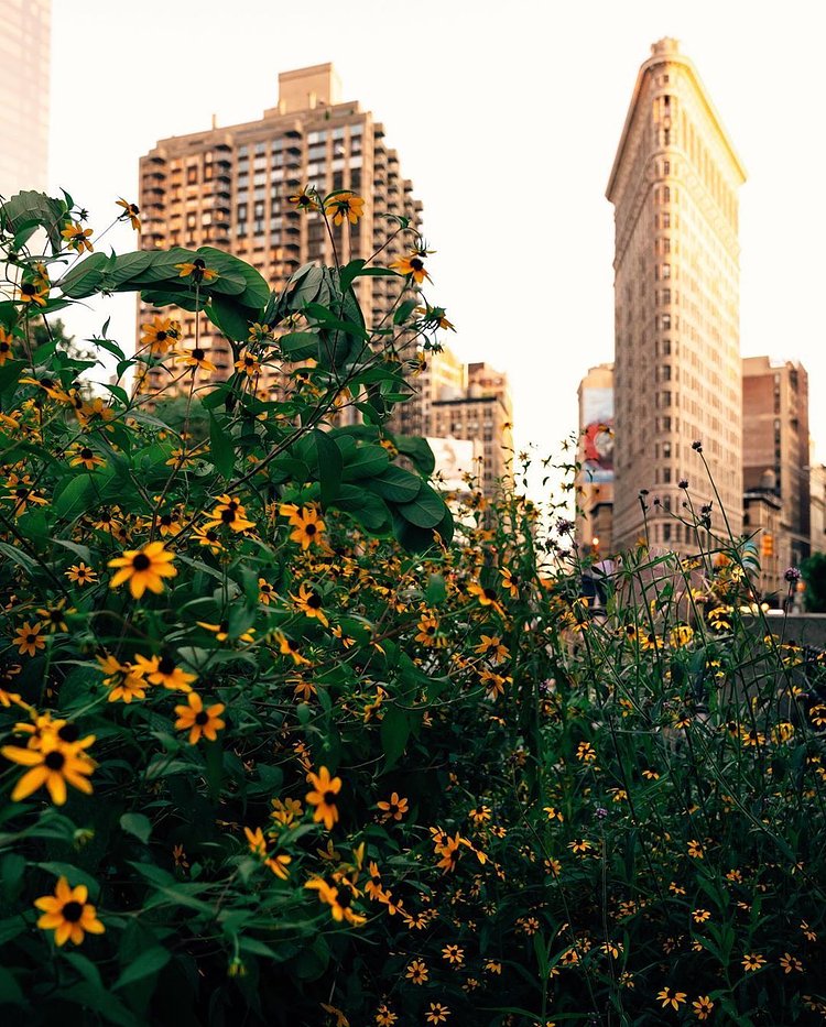 Madison Square Park, Flatiron District, Manhattan