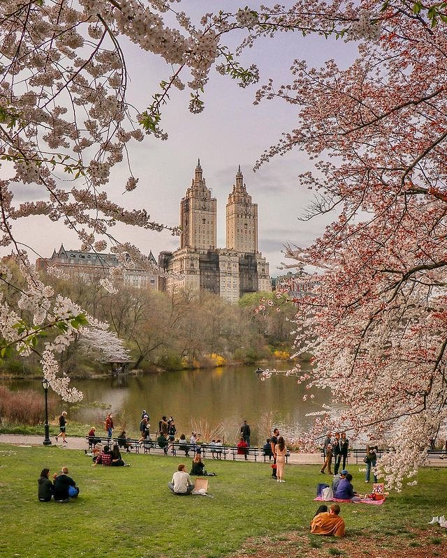 The Lake, Central Park, Manhattan