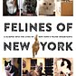 Felines of New York