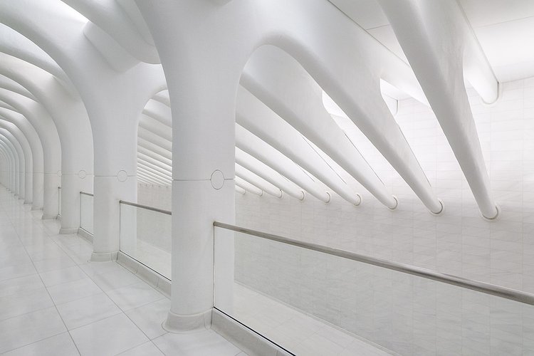 Inside Santiago Calatrava's WTC Transportation Hub in New York