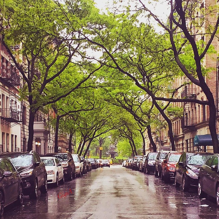 Morningside Heights, Manhattan
