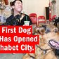 NYC's First Dog Cafe has Opened in Alphabet City