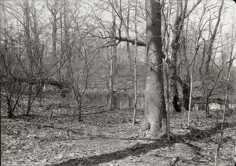 Woodland Pond at Old Hankey Place on Todt Hill Road. Photo circa 1937. (From the Collection of the Staten Island Museum)