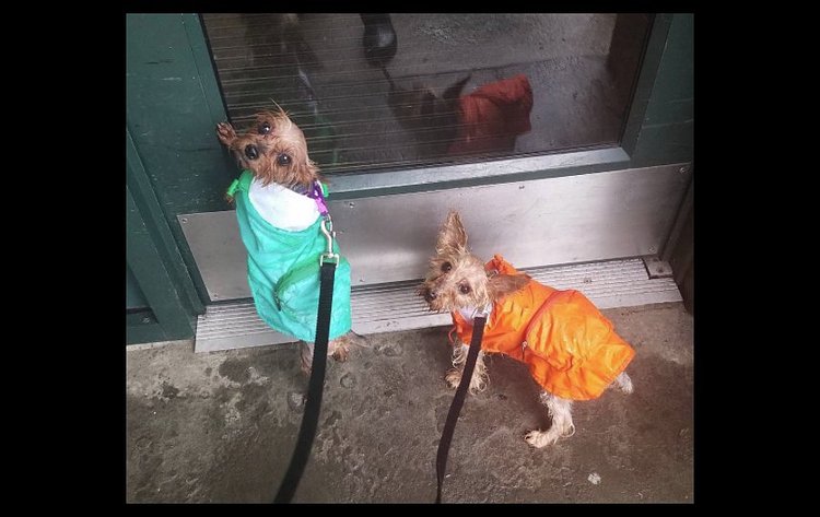 Can we go inside now?