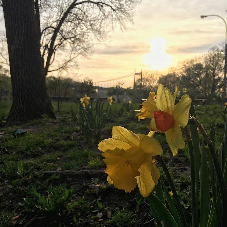Astoria Park, Astoria, Queens
