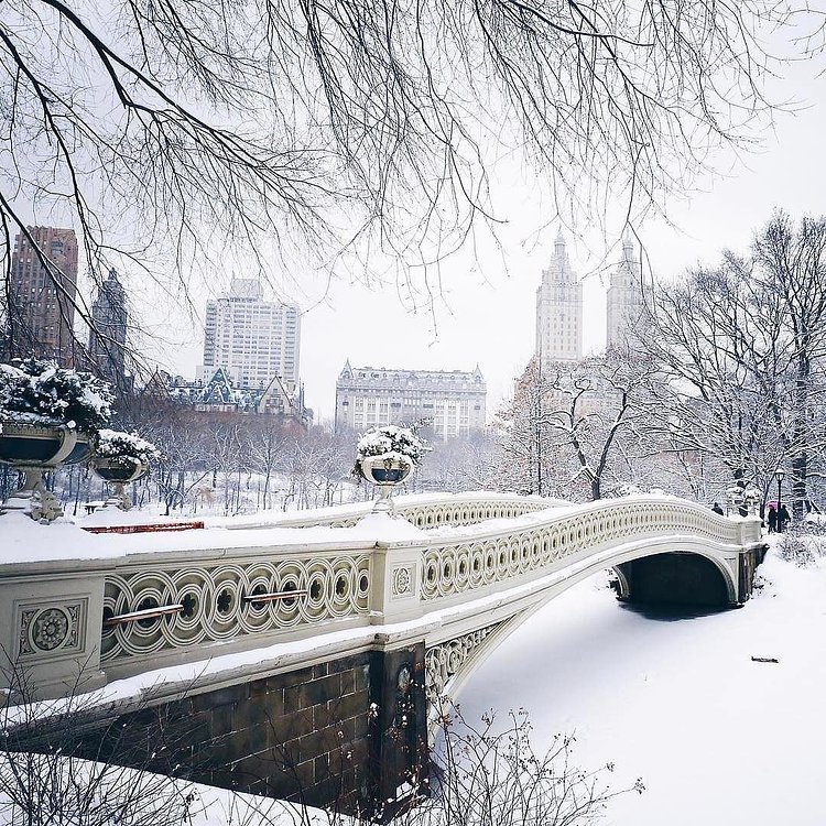 Photo via @travelinglens 
Bow Bridge, Central Park

#viewingnyc