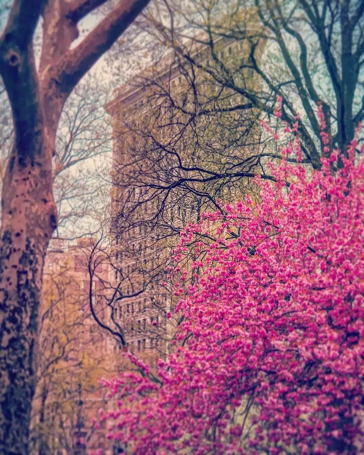 Madison Square Park, Flatiron District, Manhattan