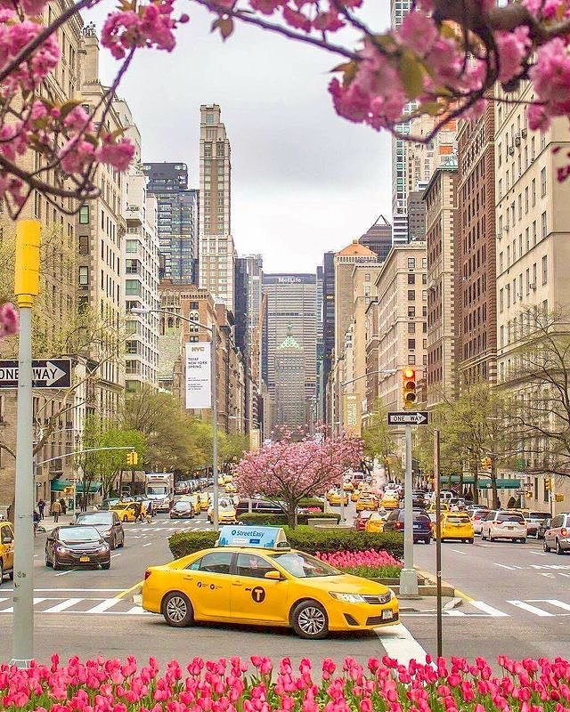 Park Avenue, Midtown, Manhattan