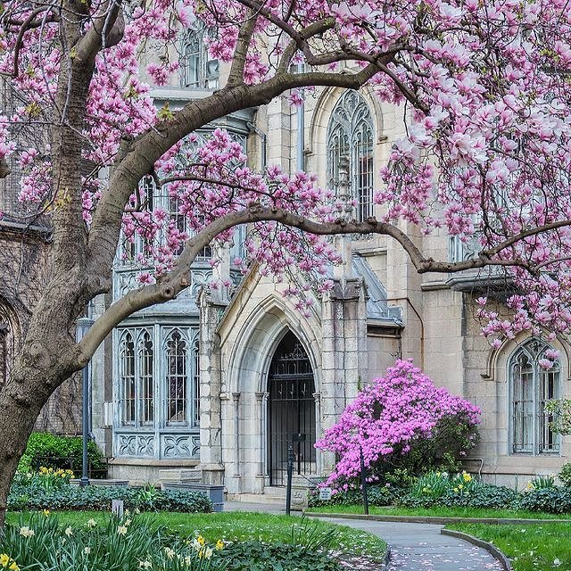 Grace Church, Manhattan