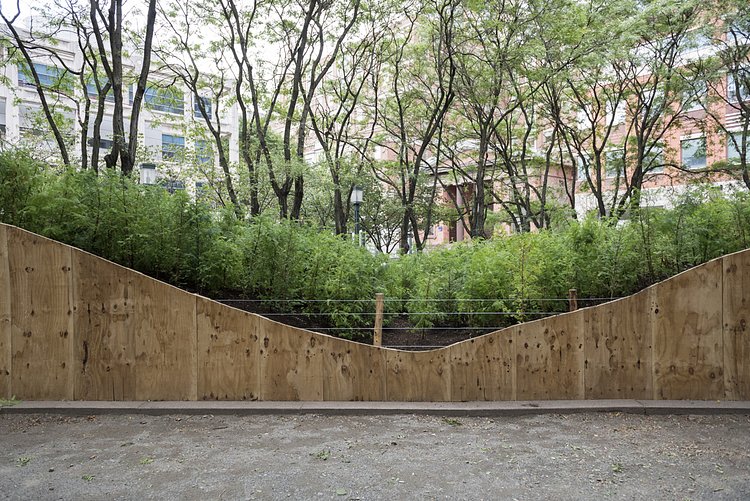 Lost Man Creek, Spencer Finch, 2016