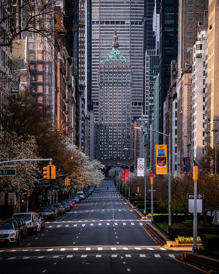 Park Avenue, Midtown, Manhattan