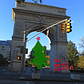 Washington Square Park Christmas Tree Arrives Monday, November 30th | Tree Lighting December 9th