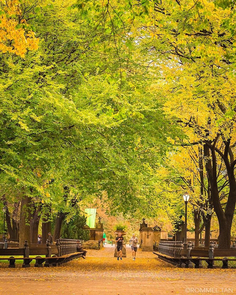 The Mall in Central Park, Manhattan
