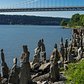 Sisyphus Stones, Fort Washington Park, Manhattan