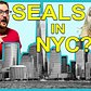 Searching for Seals in New York