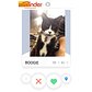 You know you wanna swipe right. 😻😻 #meowinder #hotkitty