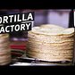 How Tortilleria Chinantla Makes 1 Million Tortillas Every Day