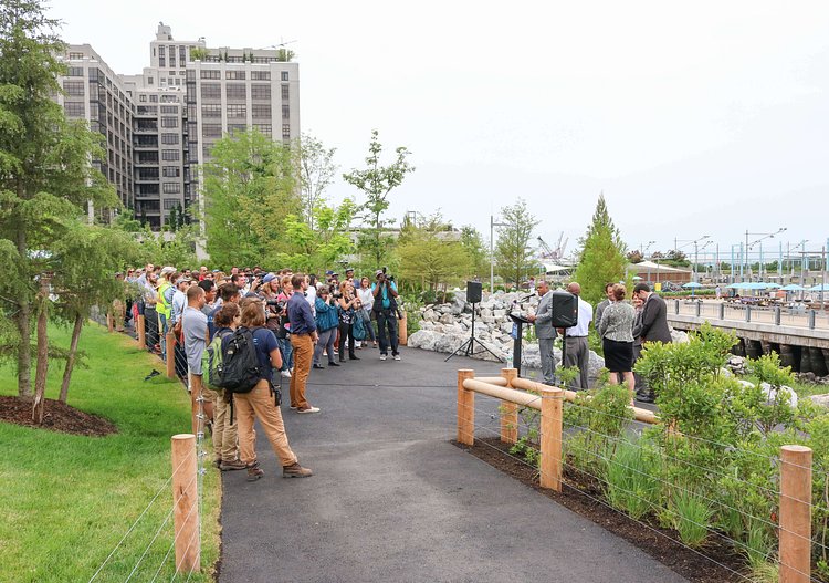Brooklyn Bridge Park Pier 5 Uplands Green Space
