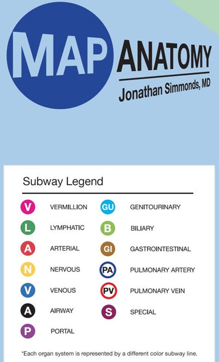 Poster - NYC style map of the entire human body (a schematic done in the style of the NYC subway)