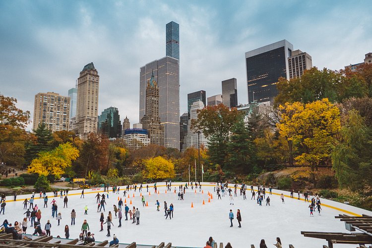 Autumn in Central Park