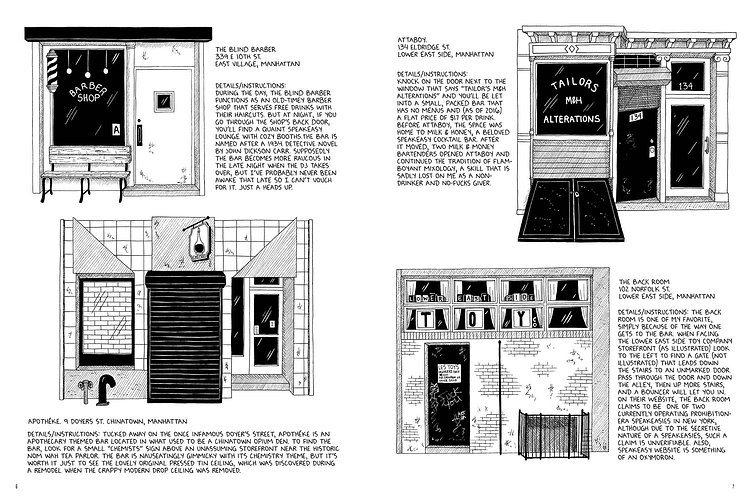 "Tenements, Towers & Trash: An Unconventional Illustrated History of New York City", Julia Wertz, 2017