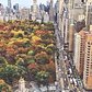A view to wake up to – the best city to be in during autumn?

#NewYork #Manhattan #Gentlemen #City #ViewOfTheDay #MorningMotivation #Autumn #Fall #Luxury #Lifestyle