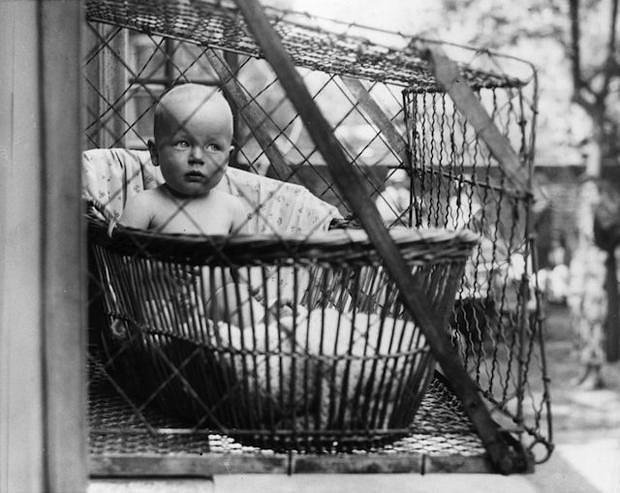 Baby cage