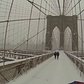 Umbrella Cam's View of Wintry New York | The New York Times