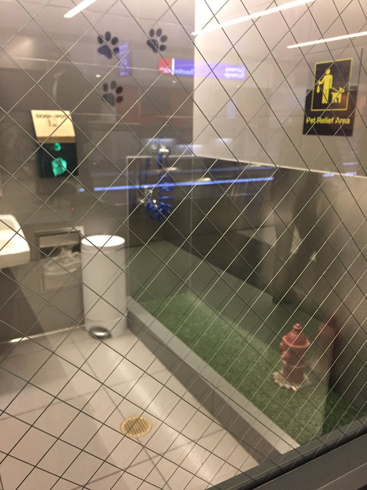 The dog bathroom at JFK is one of the cutest things ever. https://t.co/BciZEOHlmx