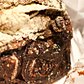 Chocolate Babka at Oneg Bakery, Brooklyn