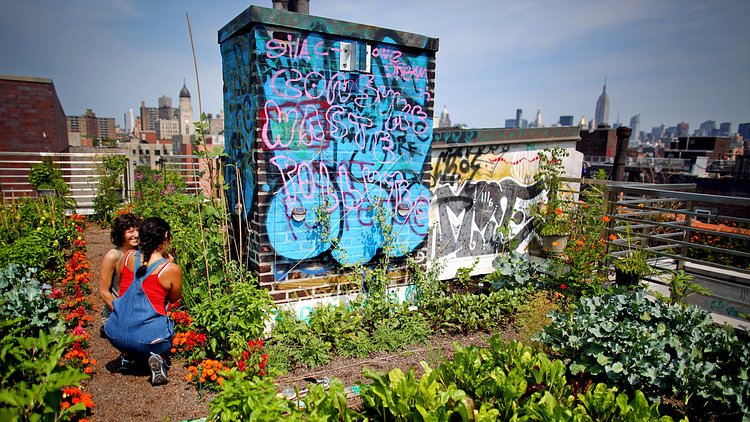 Umbrella House: East Village Co-op Run by Former Squatters