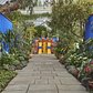 The NYBG’s Frida Kahlo exhibit pays homage to the signature blue walls of the Casa Azul, leading visitors through a landscape of Mexican plants.