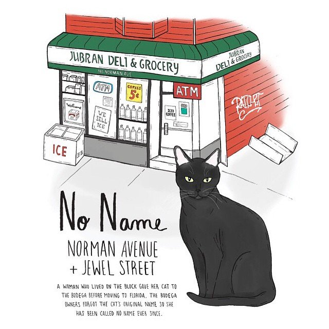 No Name // Greenpoint
#greenpoint #brooklyn #brooklynbodegacats #bodegacats #bodegacatsofinstagram #catsofinstagram