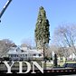 78-foot New York tree cut down for Rockefeller Center