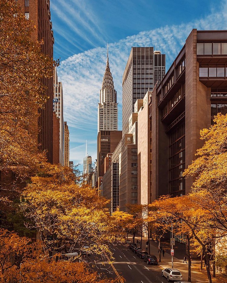 Happy weekend ✰
#NYC #NY #newyorkcity #newyork #new_york #manhattan #wildnewyork #EmpireStateOfMind #topnewyorkphoto #thisisnewyorkcity #nycprimeshot #made_in_ny #ig_nycity #igersofnyc #gf_nyc #icapture_nyc #instagramnyc #ILoveNY #newyorker #newyorknewyork #igersusa #newyork_instagram #supremenewyork #ig_northamerica #ig_unitedstates #instaglobal #igersmood #seeyourcity #rsa_streetview #chryslerbuilding