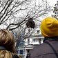 Bird watchers look up towards a large parrot nest. Nests can be between five to ten degrees warmer than the external environment.